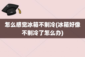 怎么感觉冰箱不制冷(冰箱好像不制冷了怎么办)