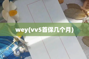 wey(vv5首保几个月)