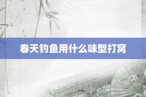 春天钓鱼用什么味型打窝