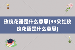 玫瑰花语是什么意思(33朵红玫瑰花语是什么意思)