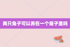 两只兔子可以养在一个笼子里吗