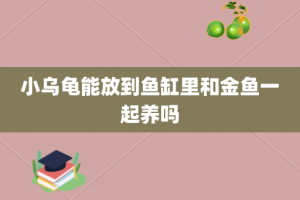 小乌龟能放到鱼缸里和金鱼一起养吗