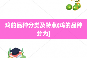 鸡的品种分类及特点(鸡的品种分为)