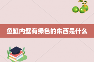 鱼缸内壁有绿色的东西是什么