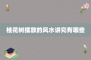 桂花树摆放的风水讲究有哪些