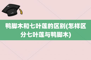 鸭脚木和七叶莲的区别(怎样区分七叶莲与鸭脚木)