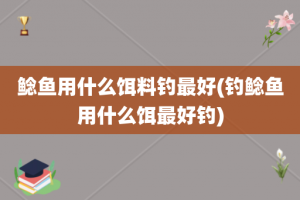 鲶鱼用什么饵料钓最好(钓鲶鱼用什么饵最好钓)