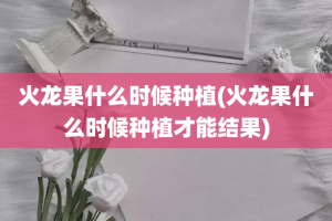 火龙果什么时候种植(火龙果什么时候种植才能结果)