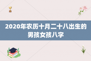 2020年农历十月二十八出生的男孩女孩八字