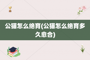 公猫怎么绝育(公猫怎么绝育多久愈合)