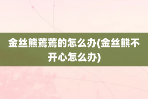 金丝熊蔫蔫的怎么办(金丝熊不开心怎么办)