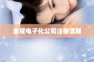 全程电子化公司注册流程