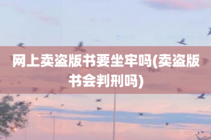 网上卖盗版书要坐牢吗(卖盗版书会判刑吗)