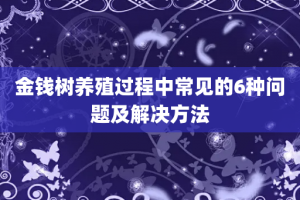 金钱树养殖过程中常见的6种问题及解决方法