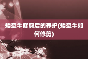 矮牵牛修剪后的养护(矮牵牛如何修剪)