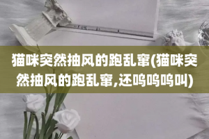 猫咪突然抽风的跑乱窜(猫咪突然抽风的跑乱窜,还呜呜呜叫)