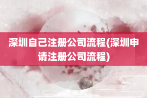 深圳自己注册公司流程(深圳申请注册公司流程)