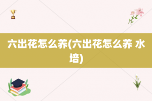 六出花怎么养(六出花怎么养 水培)