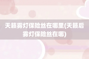 天籁雾灯保险丝在哪里(天籁后雾灯保险丝在哪)