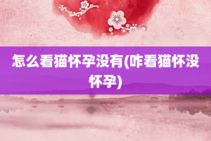 怎么看猫怀孕没有(咋看猫怀没怀孕)