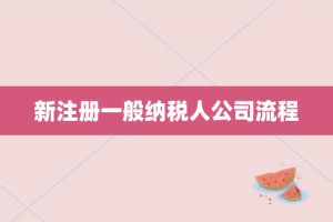 新注册一般纳税人公司流程