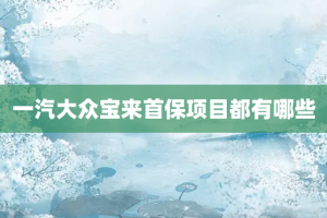 一汽大众宝来首保项目都有哪些