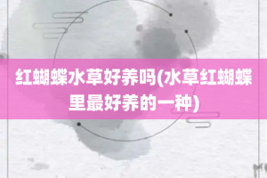 红蝴蝶水草好养吗(水草红蝴蝶里最好养的一种)