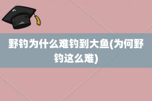 野钓为什么难钓到大鱼(为何野钓这么难)