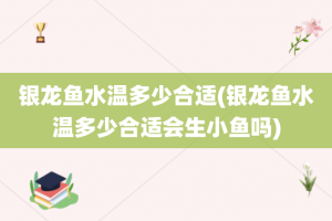 银龙鱼水温多少合适(银龙鱼水温多少合适会生小鱼吗)