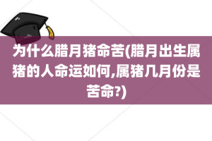 为什么腊月猪命苦(腊月出生属猪的人命运如何,属猪几月份是苦命?)