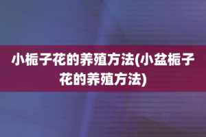 小栀子花的养殖方法(小盆栀子花的养殖方法)