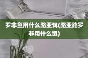 罗非鱼用什么路亚饵(路亚路罗非用什么饵)
