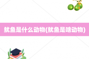 鱿鱼是什么动物(鱿鱼是啥动物)