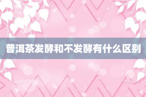 普洱茶发酵和不发酵有什么区别