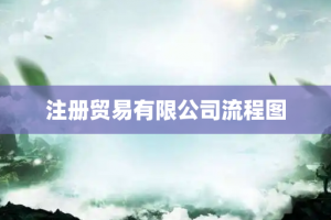 注册贸易有限公司流程图