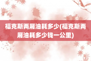 福克斯两厢油耗多少(福克斯两厢油耗多少钱一公里)