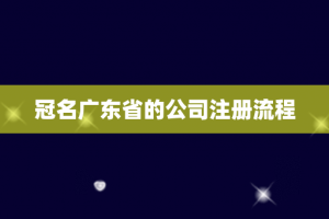 冠名广东省的公司注册流程