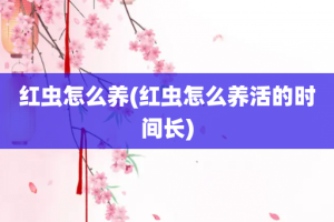 红虫怎么养(红虫怎么养活的时间长)