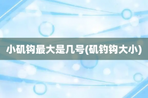小矶钩最大是几号(矶钓钩大小)
