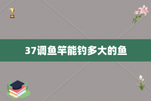 37调鱼竿能钓多大的鱼