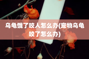 乌龟饿了咬人怎么办(宠物乌龟咬了怎么办)