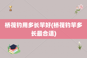 桥筏钓用多长竿好(桥筏钓竿多长最合适)