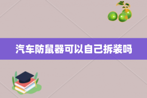 汽车防鼠器可以自己拆装吗