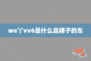 we丫vv6是什么品牌子的车