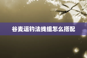 谷麦逗钓法线组怎么搭配