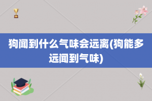 狗闻到什么气味会远离(狗能多远闻到气味)