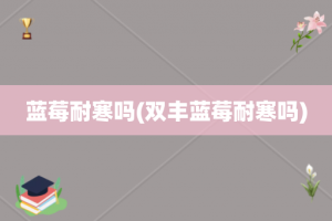 蓝莓耐寒吗(双丰蓝莓耐寒吗)