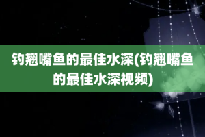 钓翘嘴鱼的最佳水深(钓翘嘴鱼的最佳水深视频)