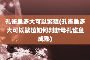 孔雀鱼多大可以繁殖(孔雀鱼多大可以繁殖如何判断母孔雀鱼成熟)