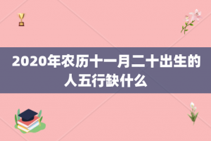 2020年农历十一月二十出生的人五行缺什么